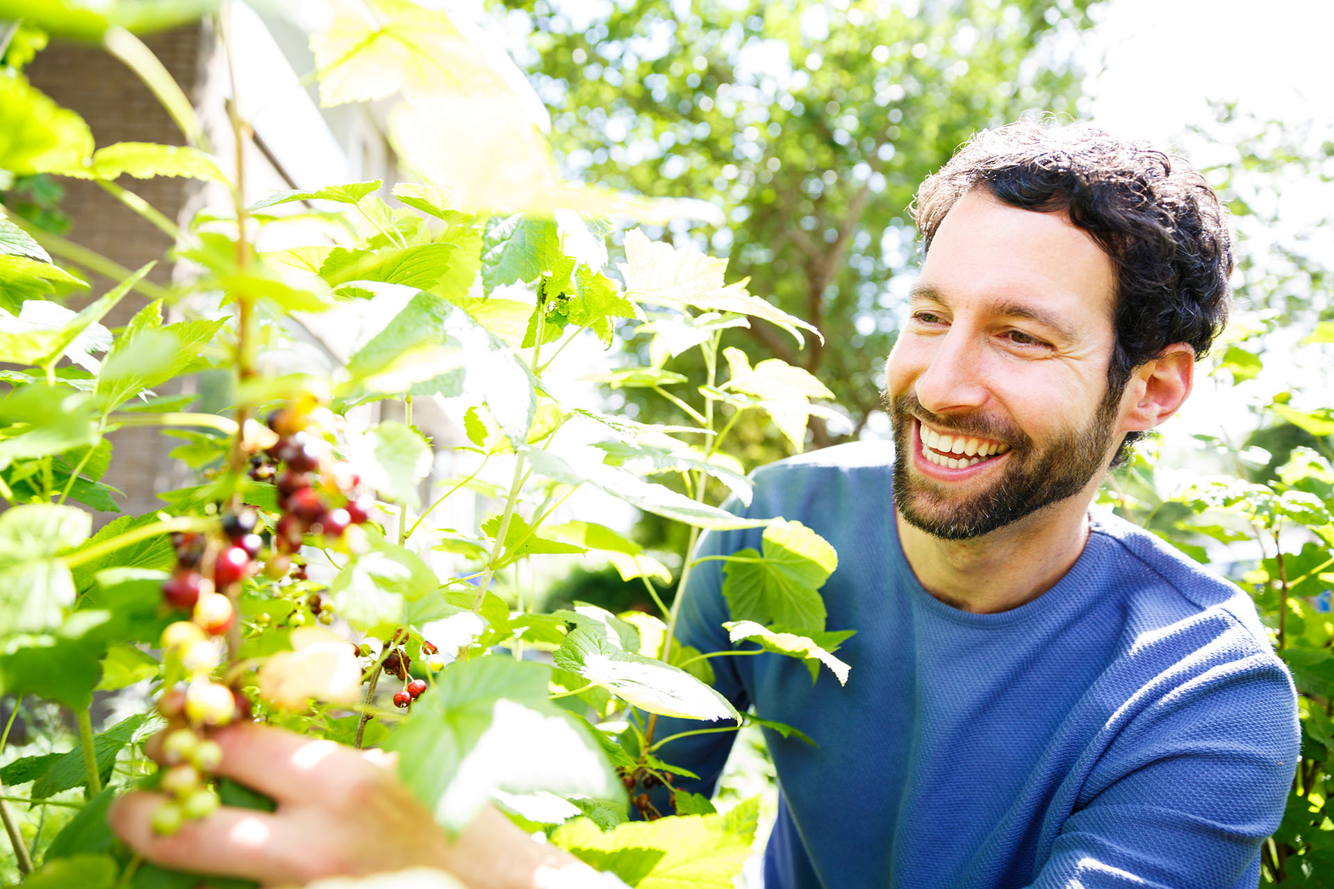 The Benefits of Organic Juice